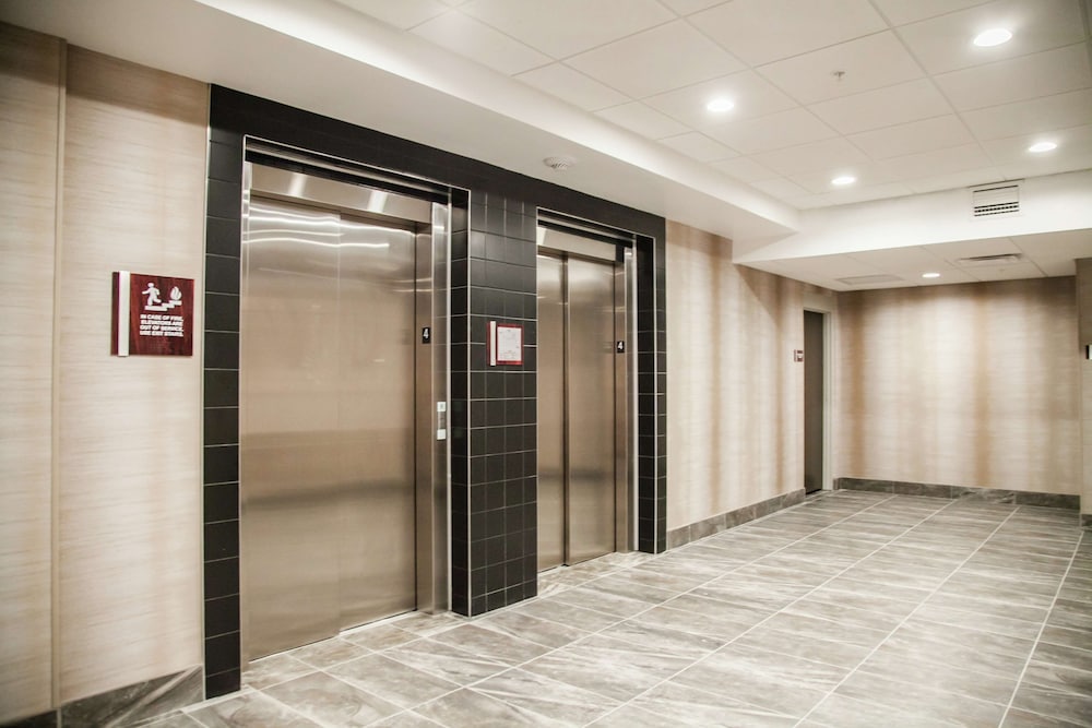 Hilton Garden Inn Tampa Suncoast Parkway - photo 60