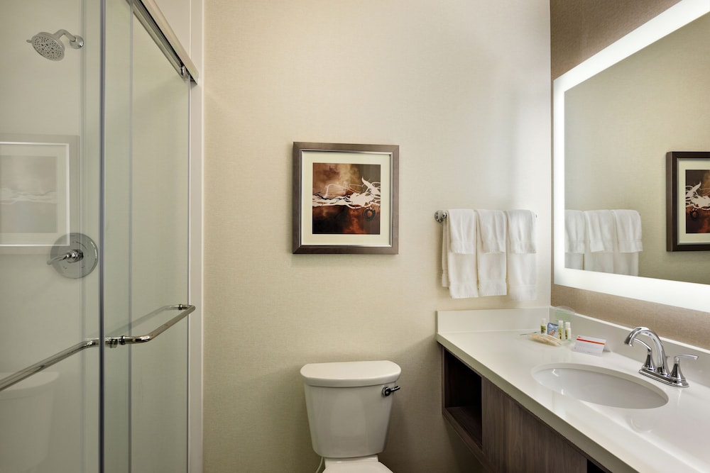 Holiday Inn St. George Conv Ctr by IHG - photo 10