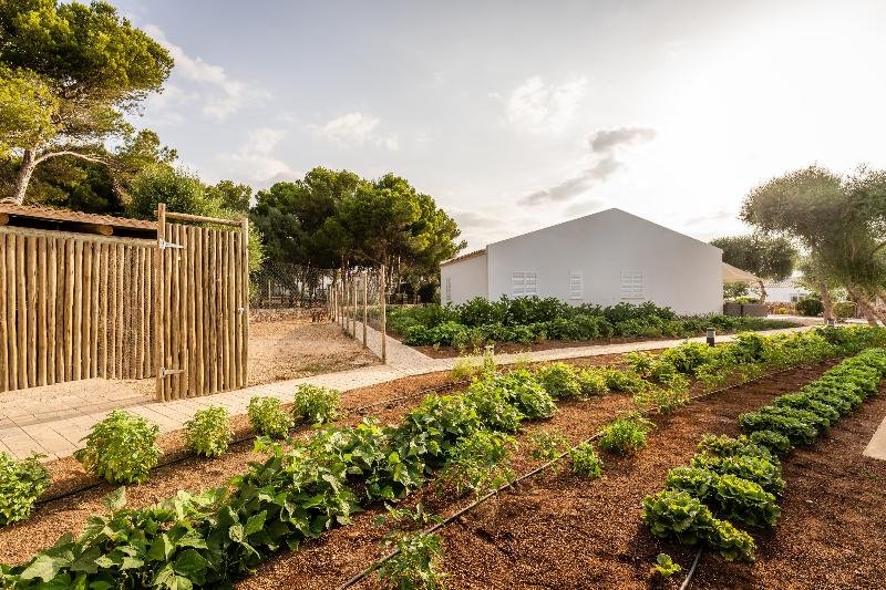 Bungalows del Lago — Ciutadella — photo 3