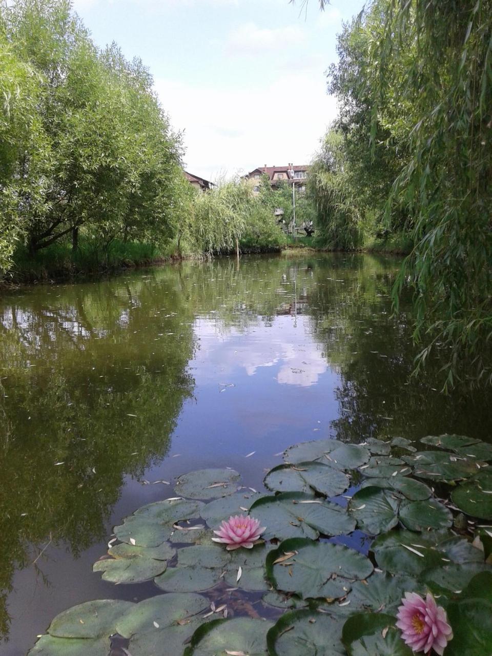 Vile Conny — Unknown City — photo 2