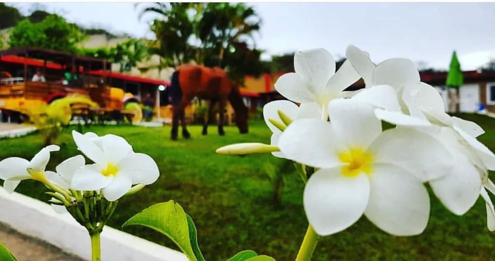 Pousada Garanhuns in Garanhuns, Brasil