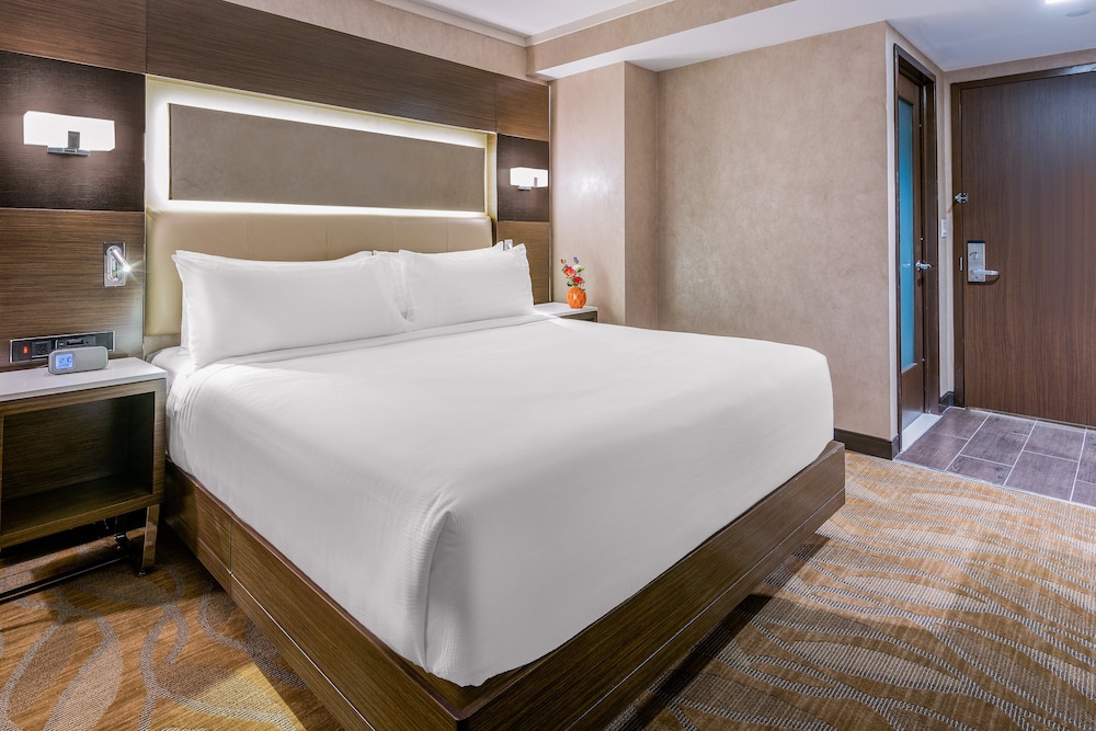 Holiday Inn Brooklyn Downtown an IHG Hotel - photo 5