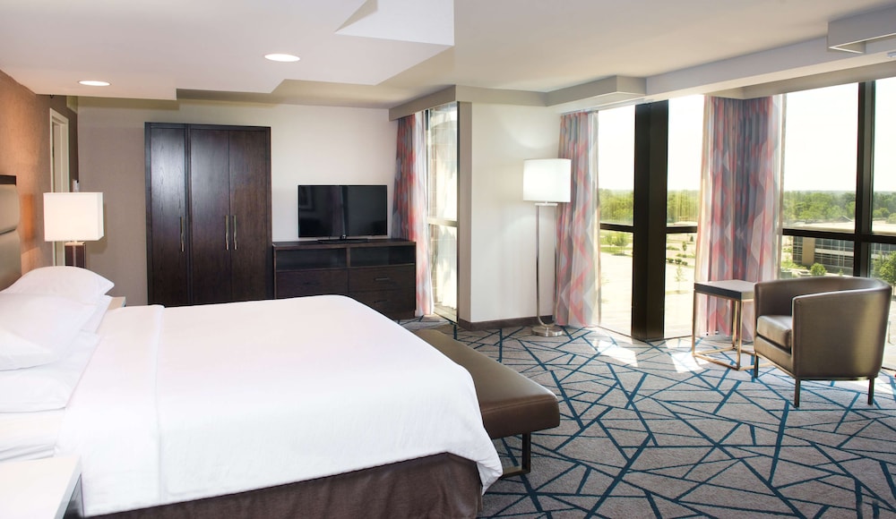 Embassy Suites by Hilton Detroit Livonia Novi - photo 11