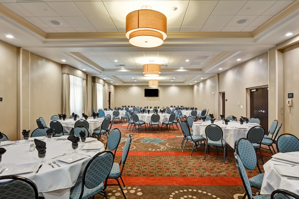 Hampton Inn & Suites Tampa Northwest Oldsmar - photo 37