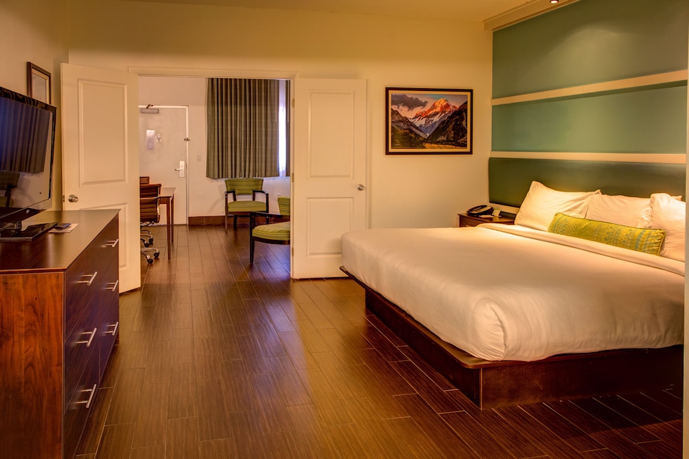 The Flagler Inn - photo 17