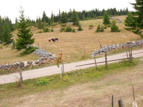 Žabljak izdavanje kuce — Zabljak — photo 5