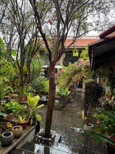 Rincón de la Sierra in Jalpan, Mexico