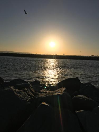 California Dreamin' - photo 25