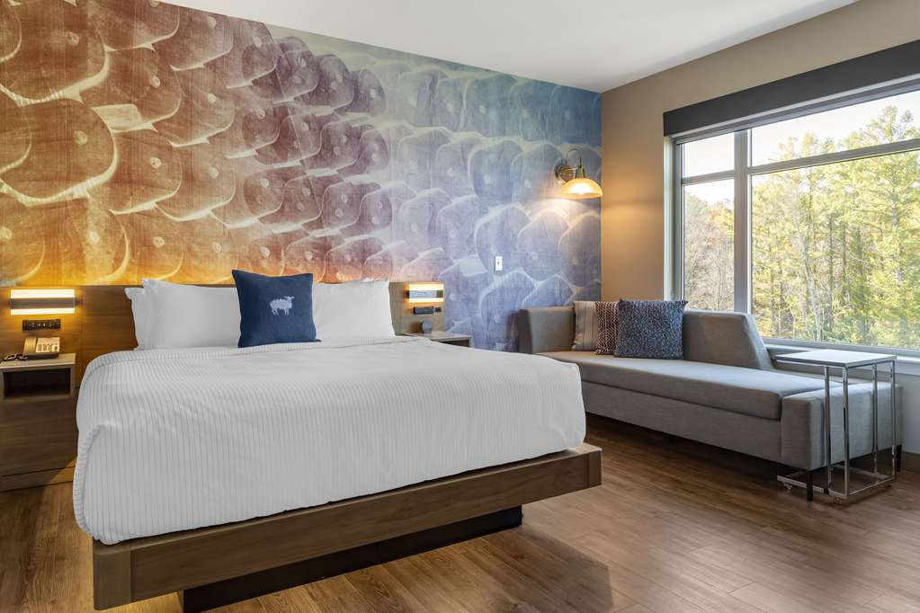 Cambria Hotel Manchester South Windsor - photo 36