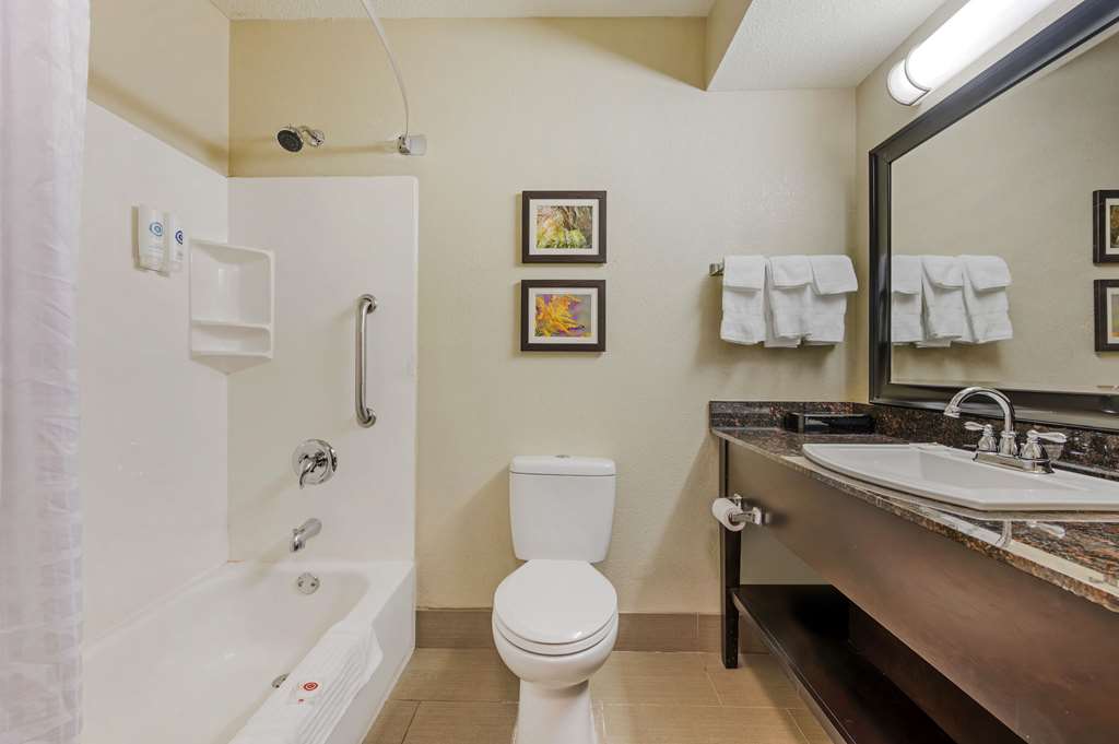 Comfort Inn Airport Turfway Road - photo 8
