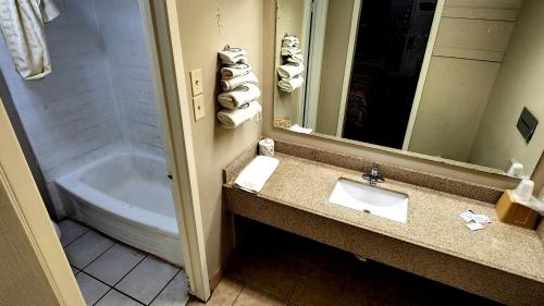Alice Motor Inn - photo 5