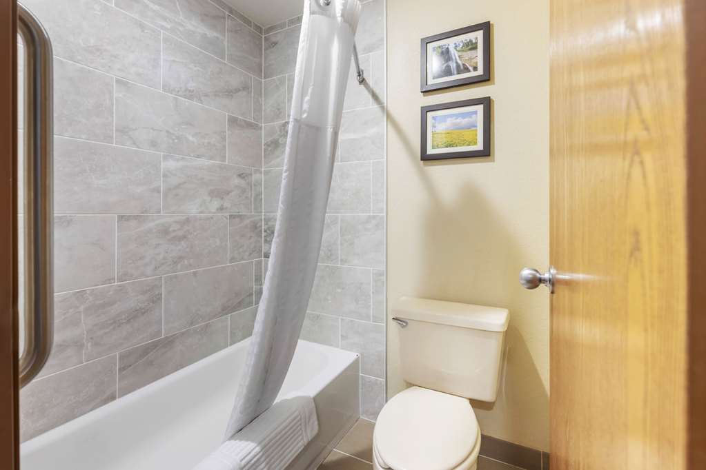 Comfort Inn Lexington - photo 18
