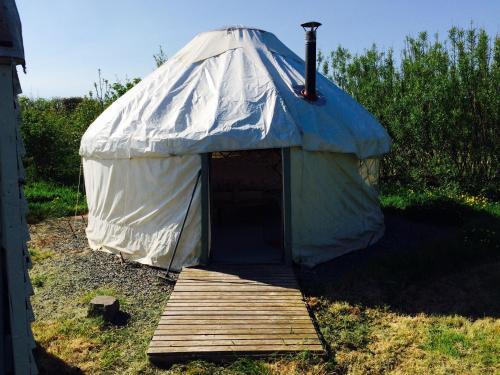 Mill Haven Place glamping yurt 2 in Haverfordwest, United Kingdom