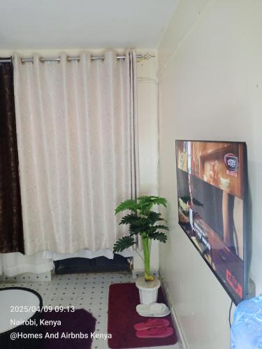 Homes And Airbnbs