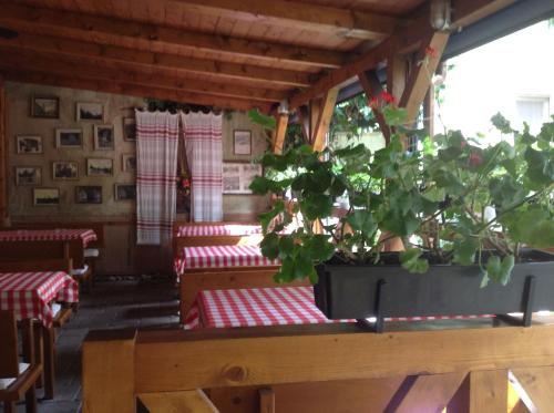 Penzión Duna & soľná jaskyňa — Komarno — photo 4
