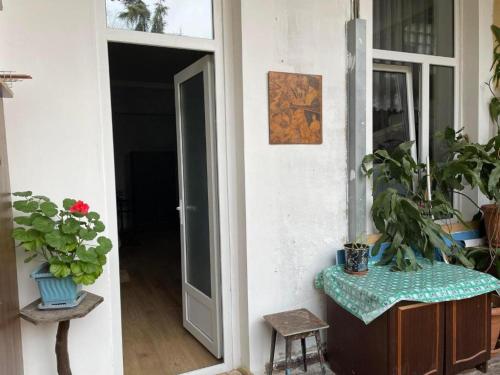 Guest House Teo