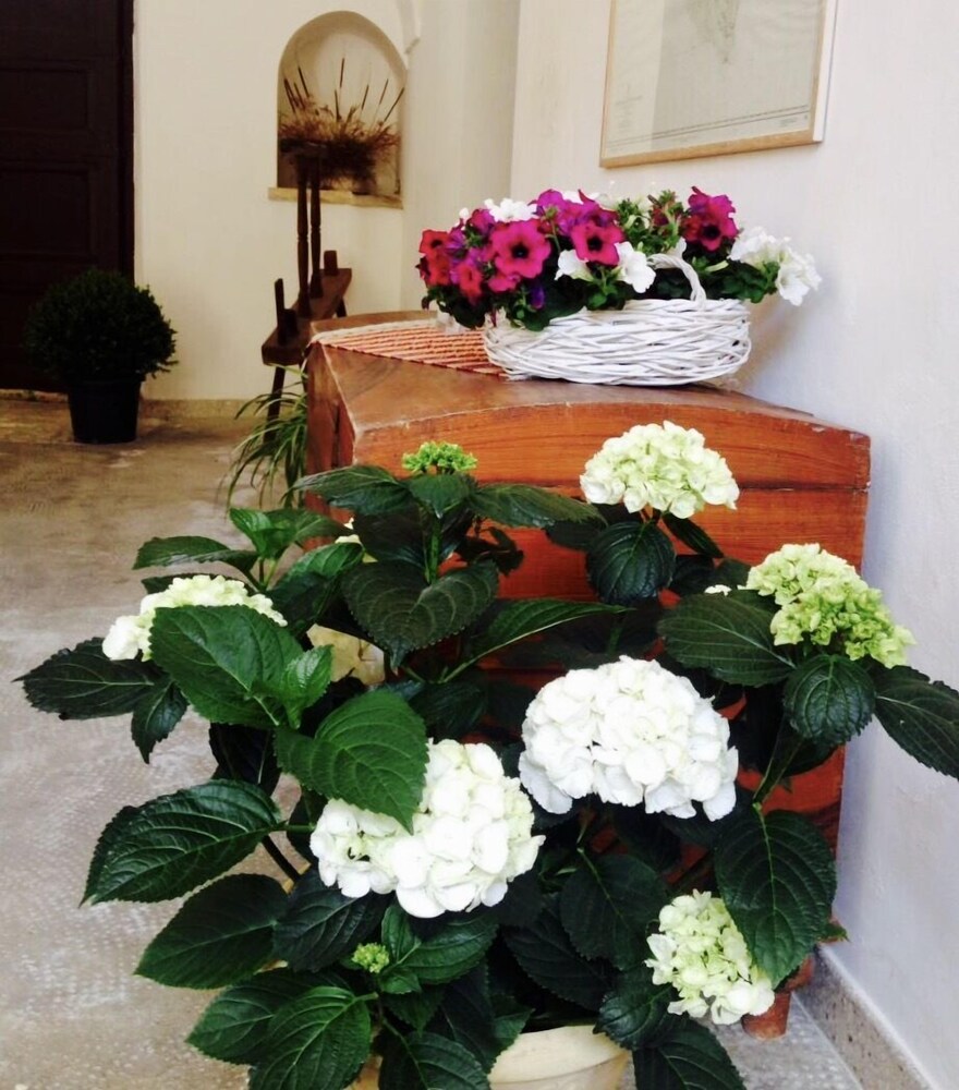 Antica Corte — Cannole — photo 4