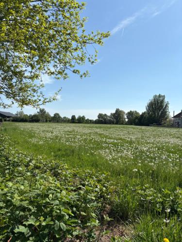 B&B de Plattelandshoeve