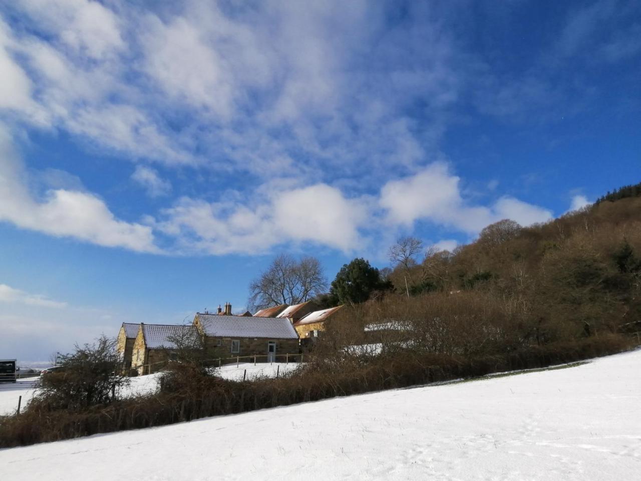 Luddie's Country Cottages Rose Cottage
