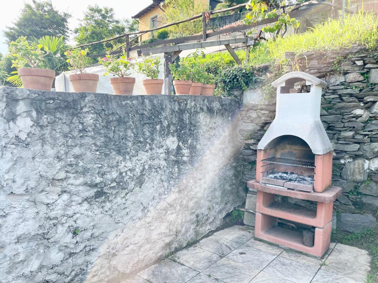 I Tre Fratelli — Vignone — photo 5