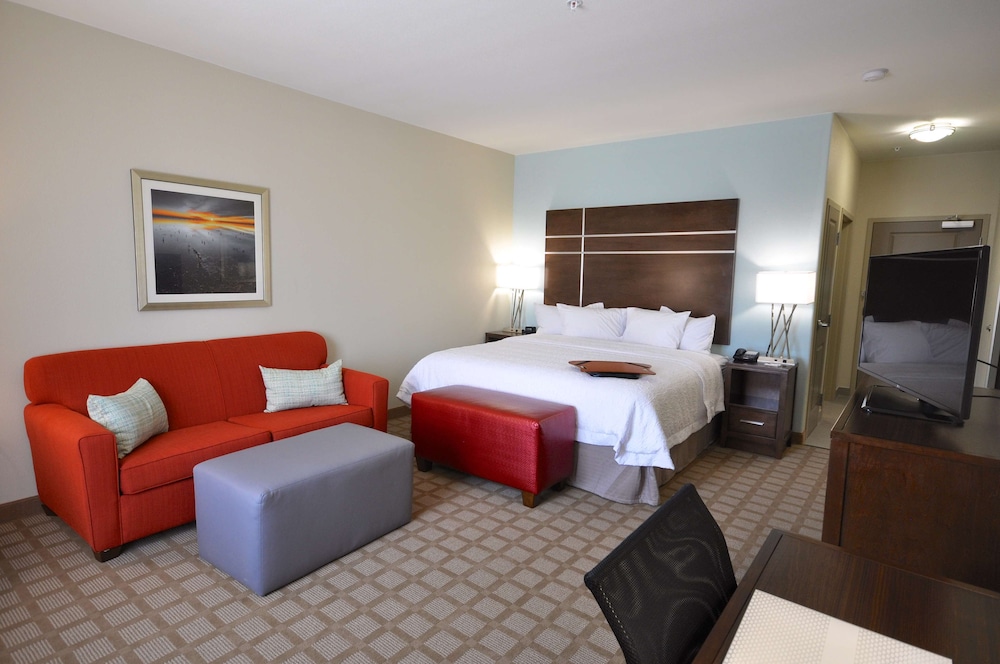 Hampton Inn & Suites Hutto Austin - photo 20