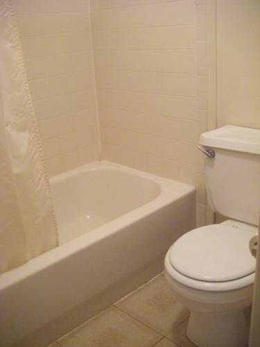 Copper Cactus Inn — Tucson — photo 3