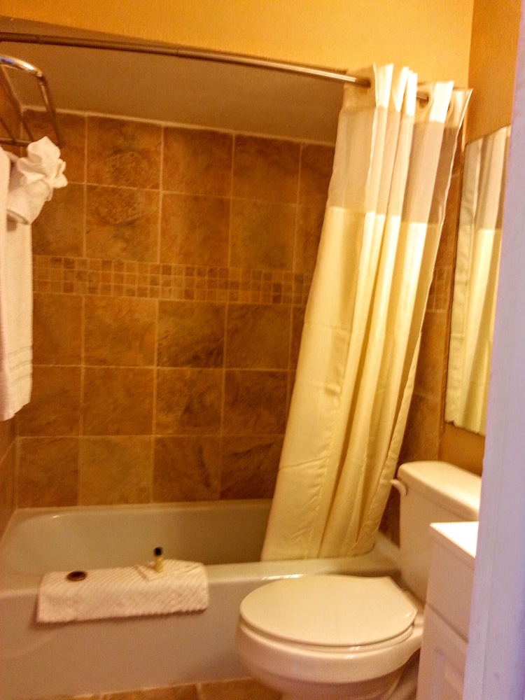Budget Lodge of Mount Dora - photo 35