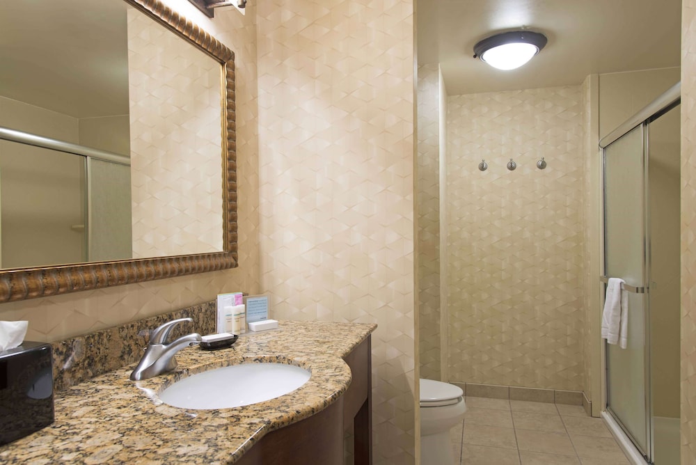 Hampton Inn and Suites Indianapolis Fishers - photo 24