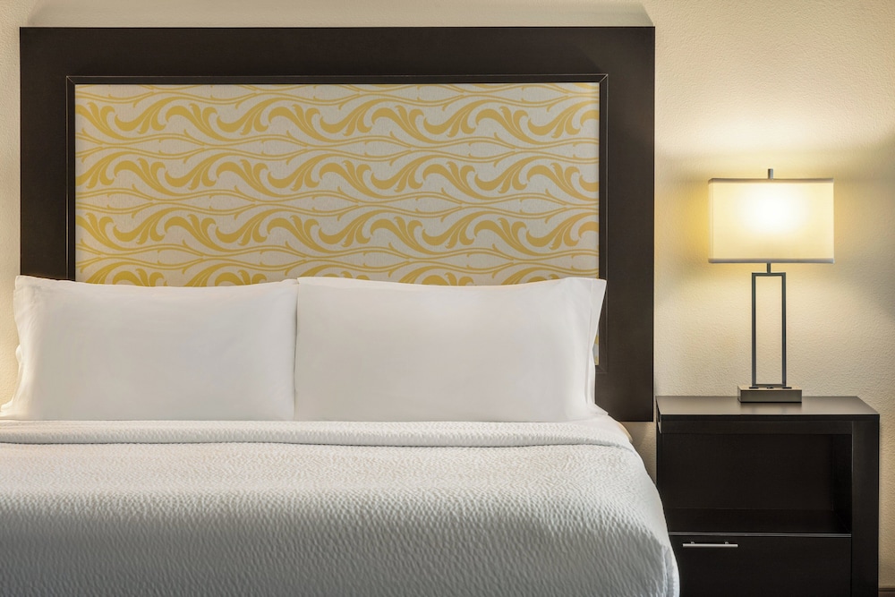 Holiday Inn Express & Suites Colorado Springs Central by IHG - photo 16