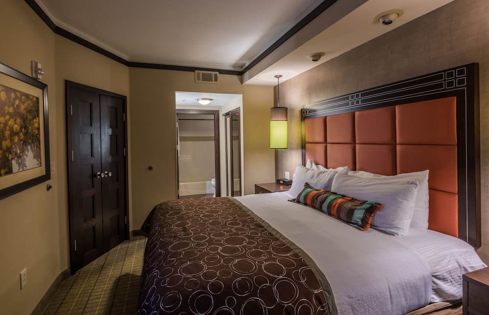Staybridge Suites DFW Airport North by IHG - photo 5