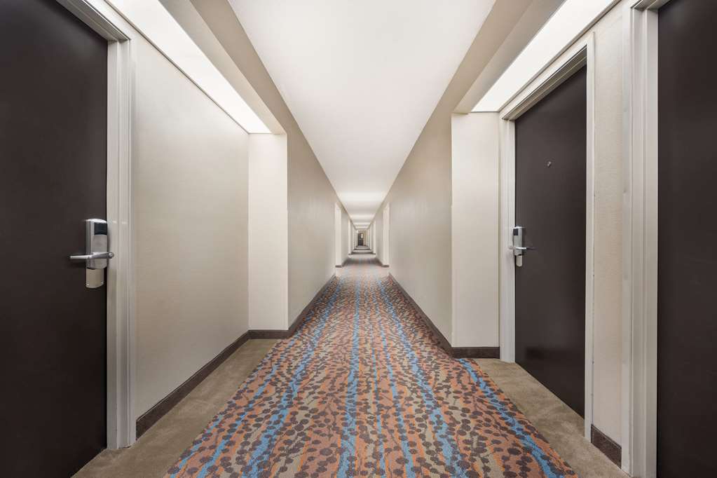 Sleep Inn Athens I 65 - photo 35
