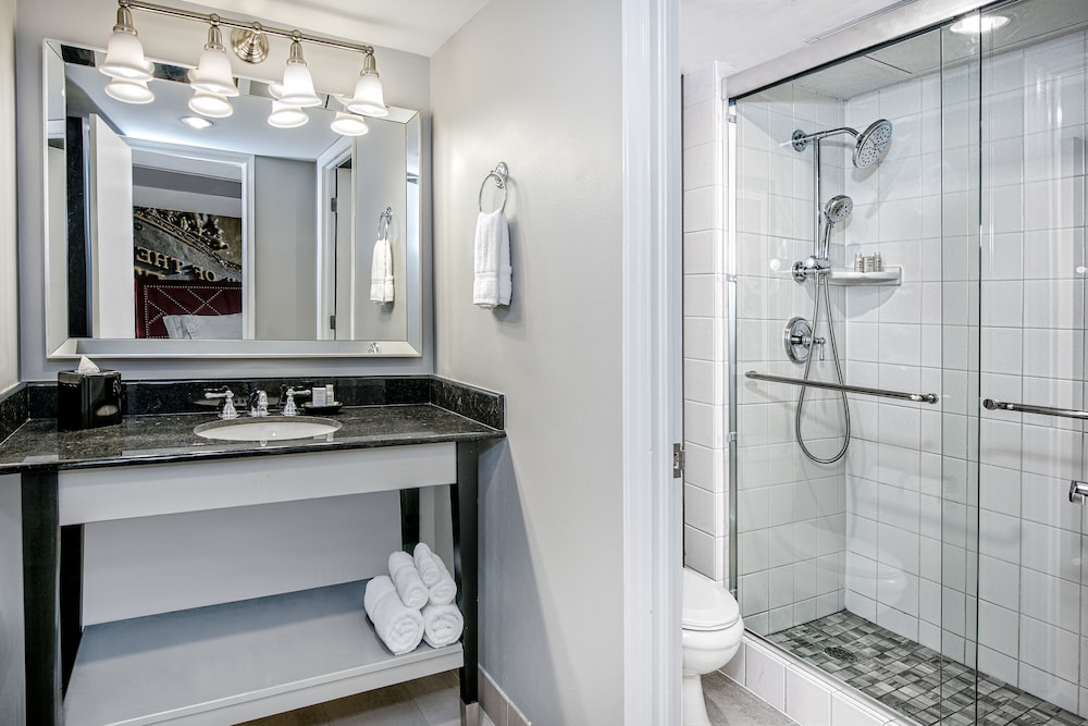 Hotel Indigo Dallas Downtown by IHG - photo 17