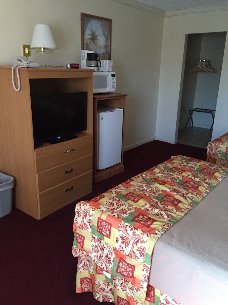 Wildwood Inn Tropical Dome & Theme Suites - photo 29
