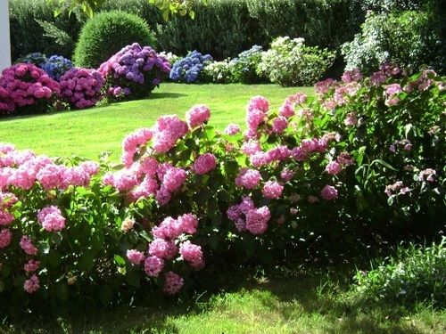 Villa Les Hortensias — Pont-Croix — photo 3