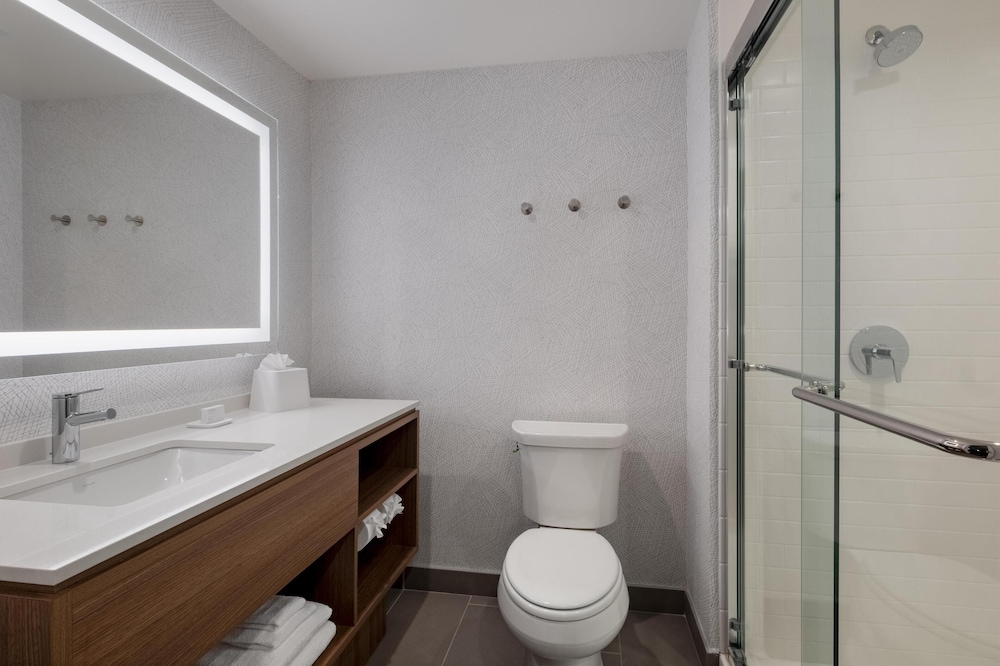Home2 Suites by Hilton Houston Downtown Convention Center - photo 18