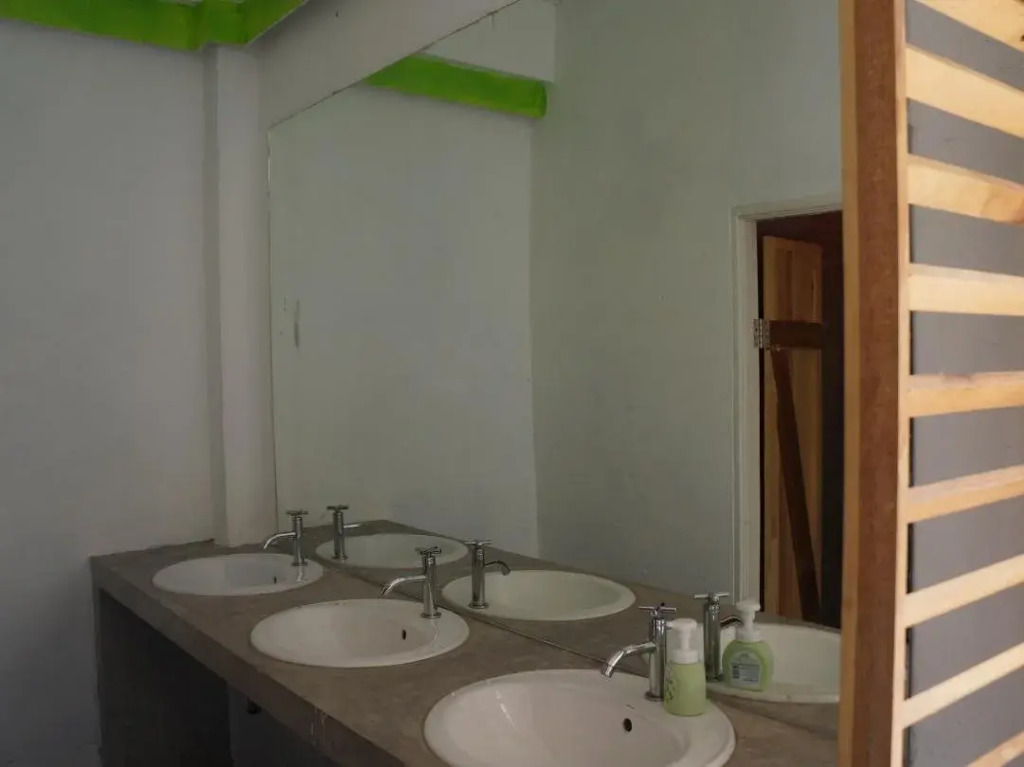 Monkey village in Khon Kaen, Thailand