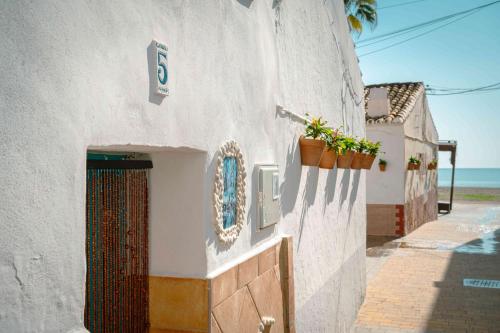 Casita En Barrio de Pescadores pet-friendly hotel Rincon De La Victoria