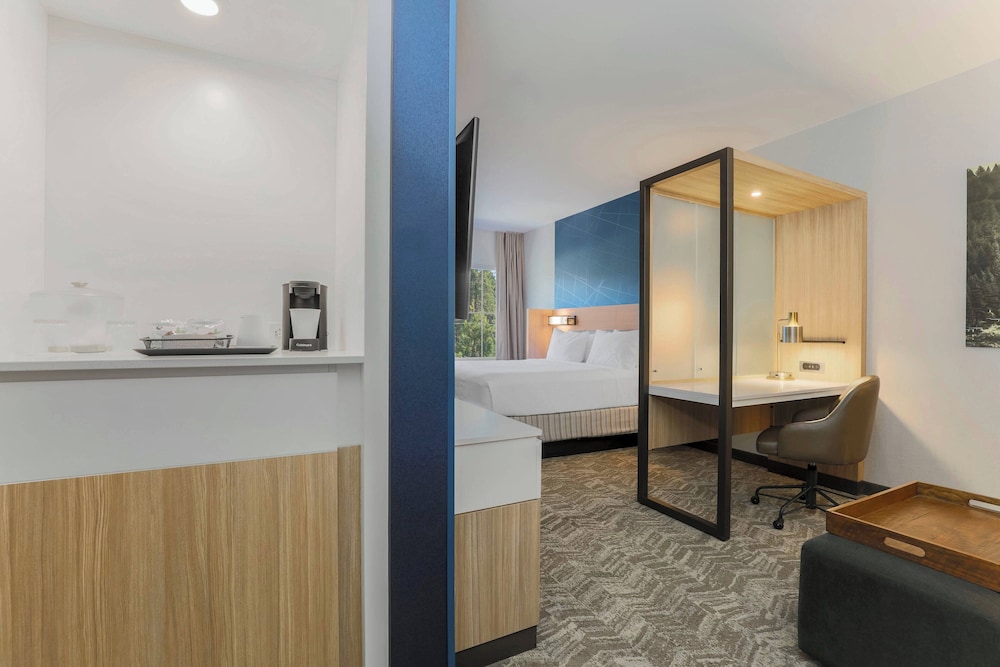 SpringHill Suites by Marriott Truckee Lake Tahoe - photo 9