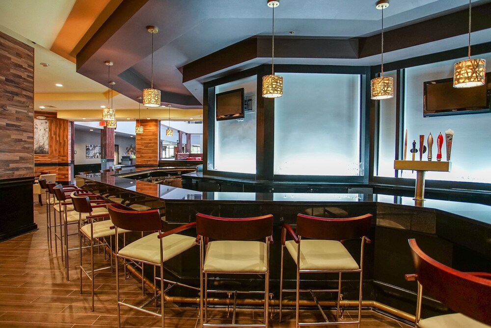 Ramada by Wyndham Southfield - photo 13