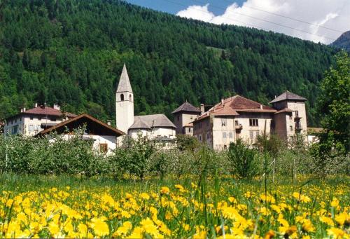 Incantevole Appartamento in Un Castello Storico — hotel in Croviana