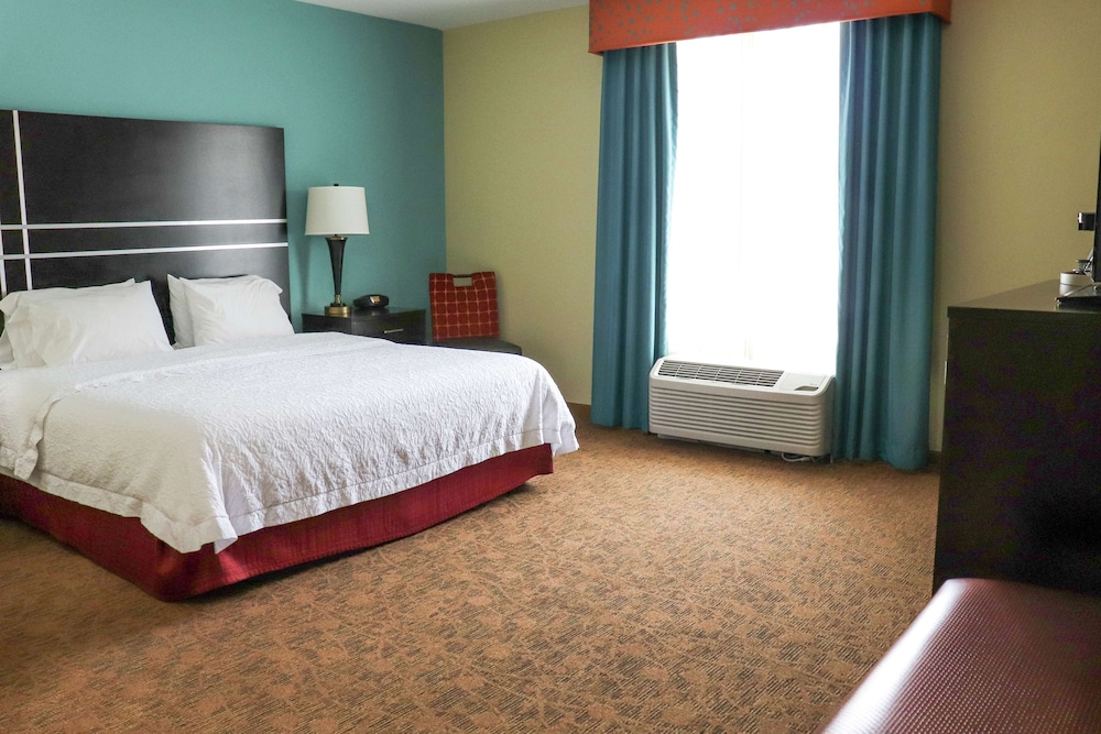 Hampton Inn Austin Oak Hill - photo 11