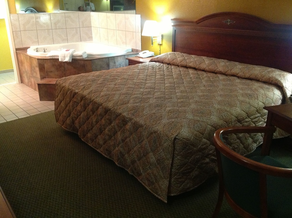 Colonial Inn & Suites Airport Graceland - photo 15