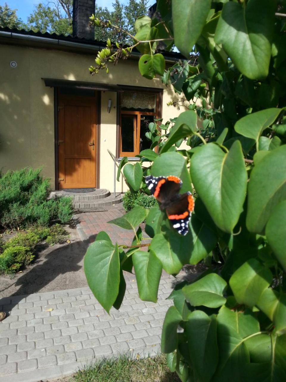 Gaisma - carbon neutral hotel in Ventspils