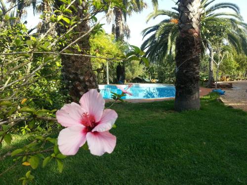 Quinta do Paraiso - carbon neutral hotel in Sao Teotonio