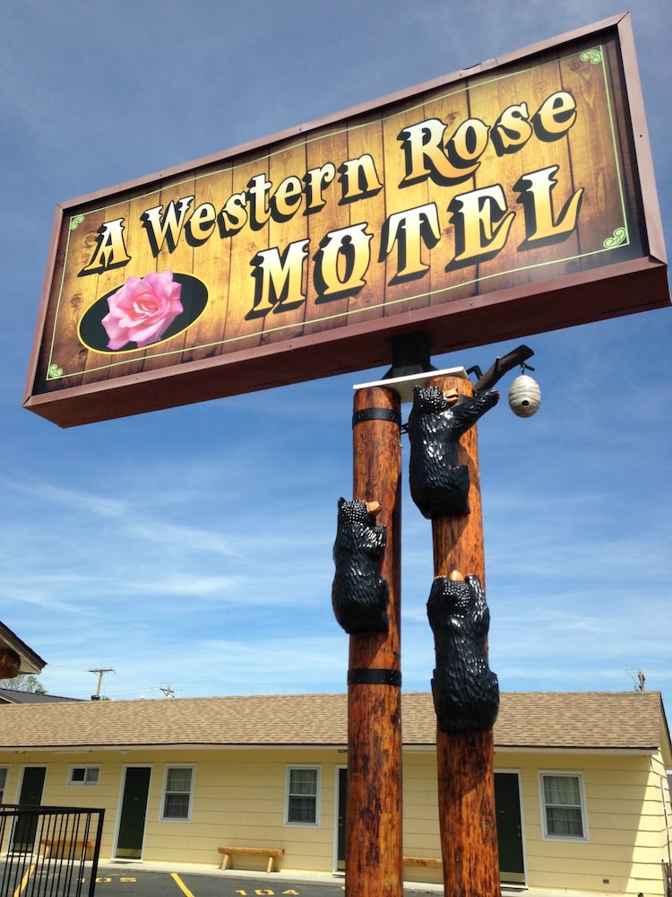 A Western Rose - photo 51