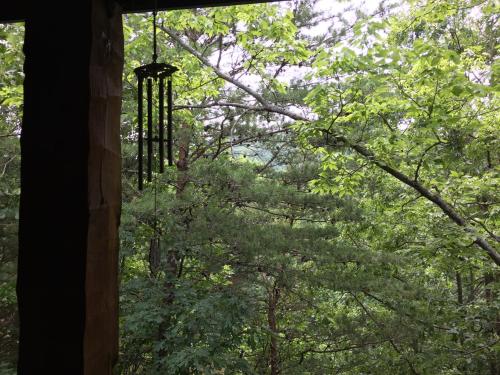 Mountain Blessings - photo 15