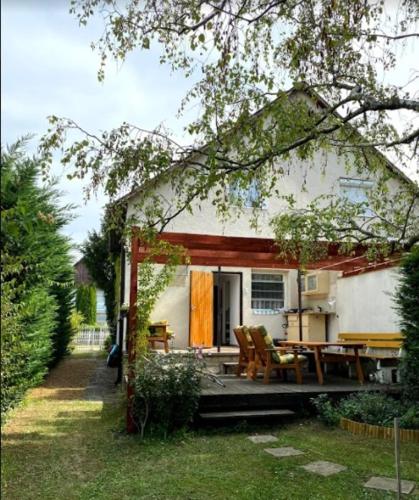 Pipacs in Balatonszarszo, Hungary