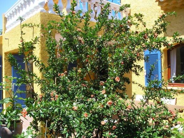 Le Soleil Bleu - carbon neutral hotel in Frejus