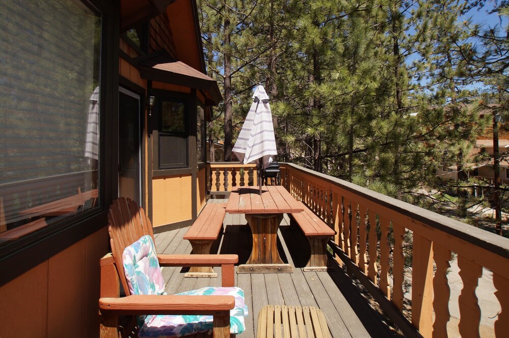 Smokey Bear's Den - photo 8