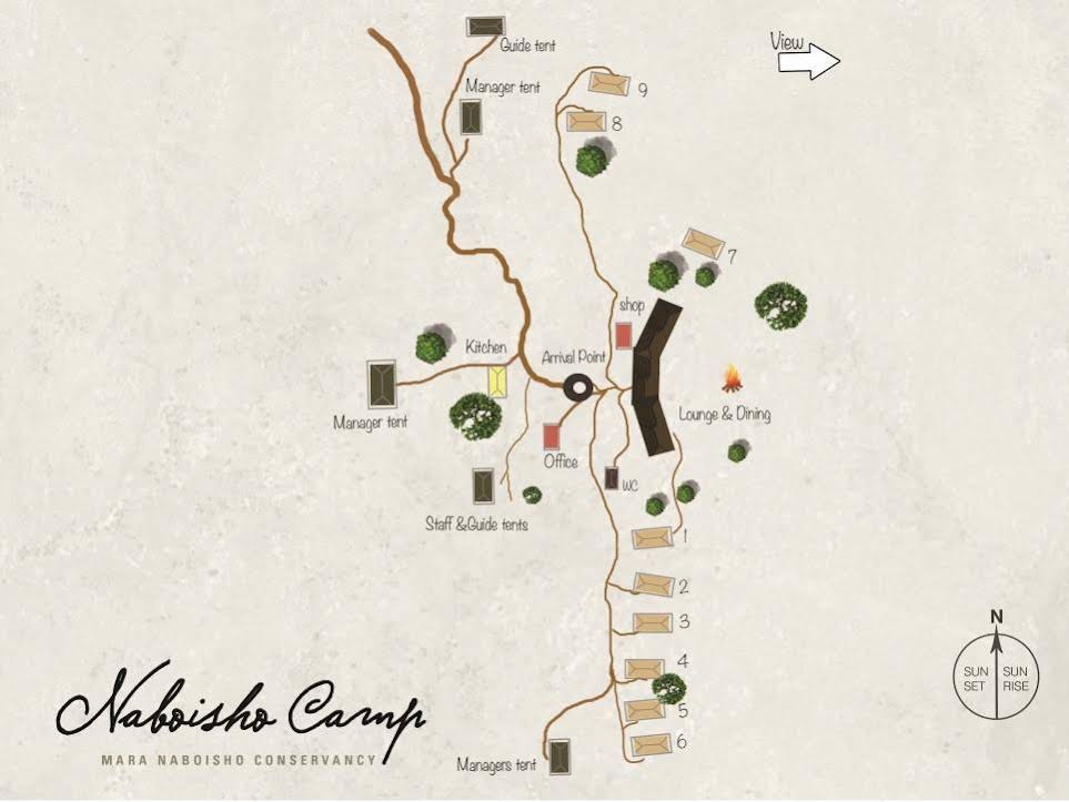 Naboisho Camp — 4-Star Luxury Hotel in Naivasha, Kenya